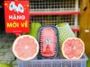 Bưởi Ruby Cô Hai Trà Vinh — Hương Vị Thượng Hạng Phân Hạng VIP