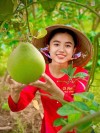 Giống Cây Bưởi Ruby Ruột Đỏ – Năng Suất Cao, Ăn Ngọt Thanh, Dễ Chăm