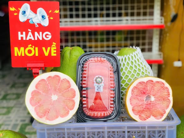 Bưởi Ruby Cô Hai Trà Vinh — Hương Vị Thượng Hạng Phân Hạng VIP
